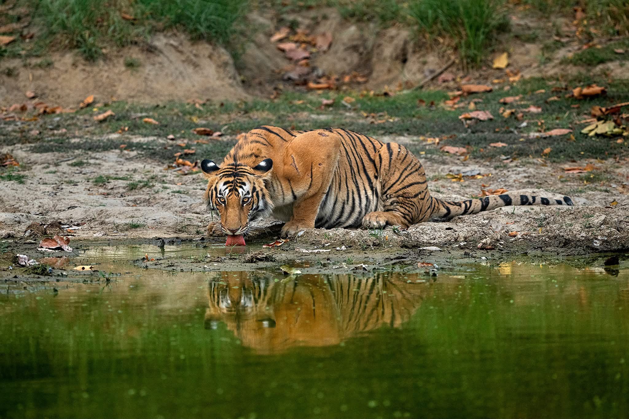 Madhya Pradesh