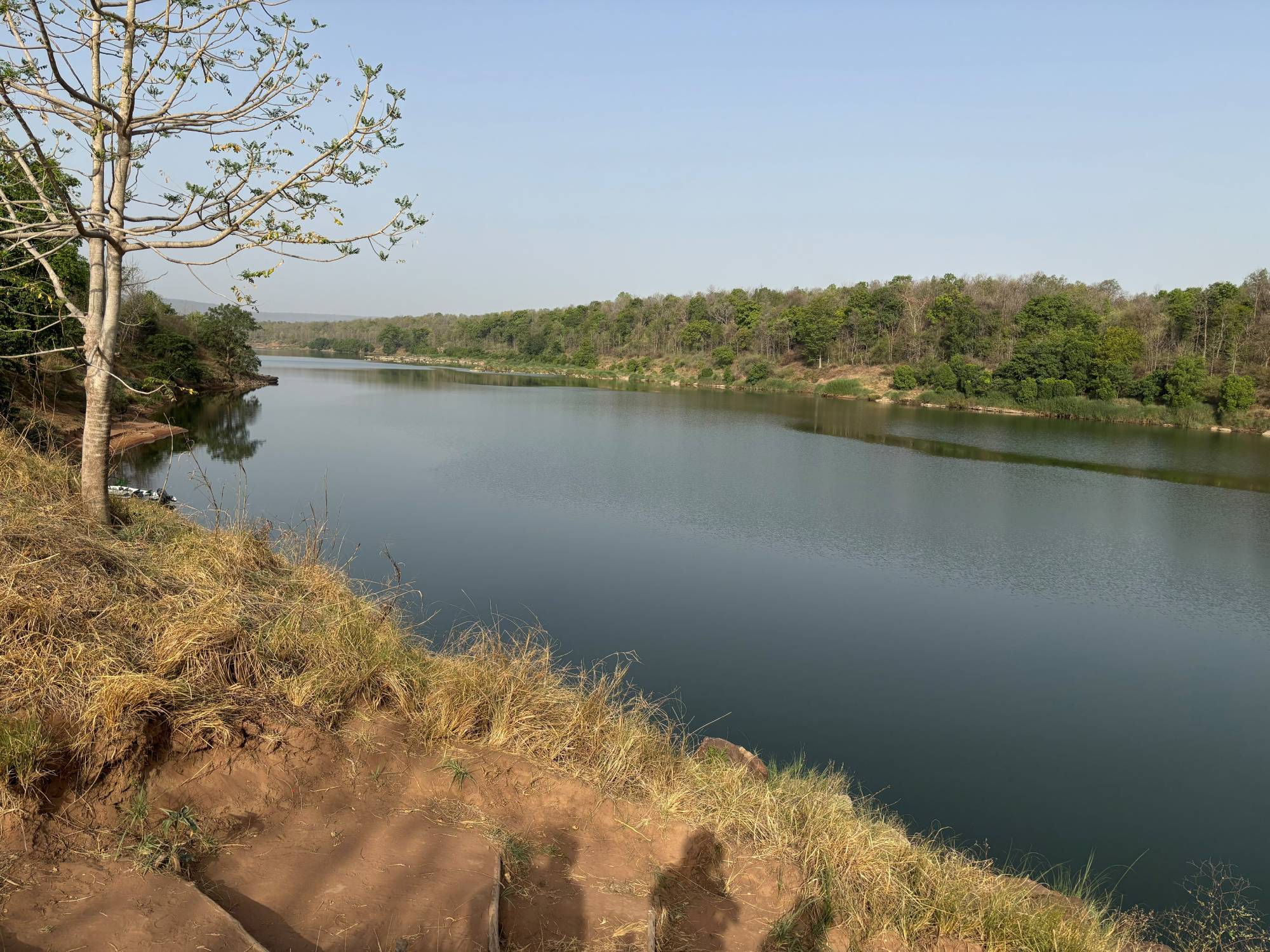 Panna National Park Tiger Safari in Exclusive Jeep