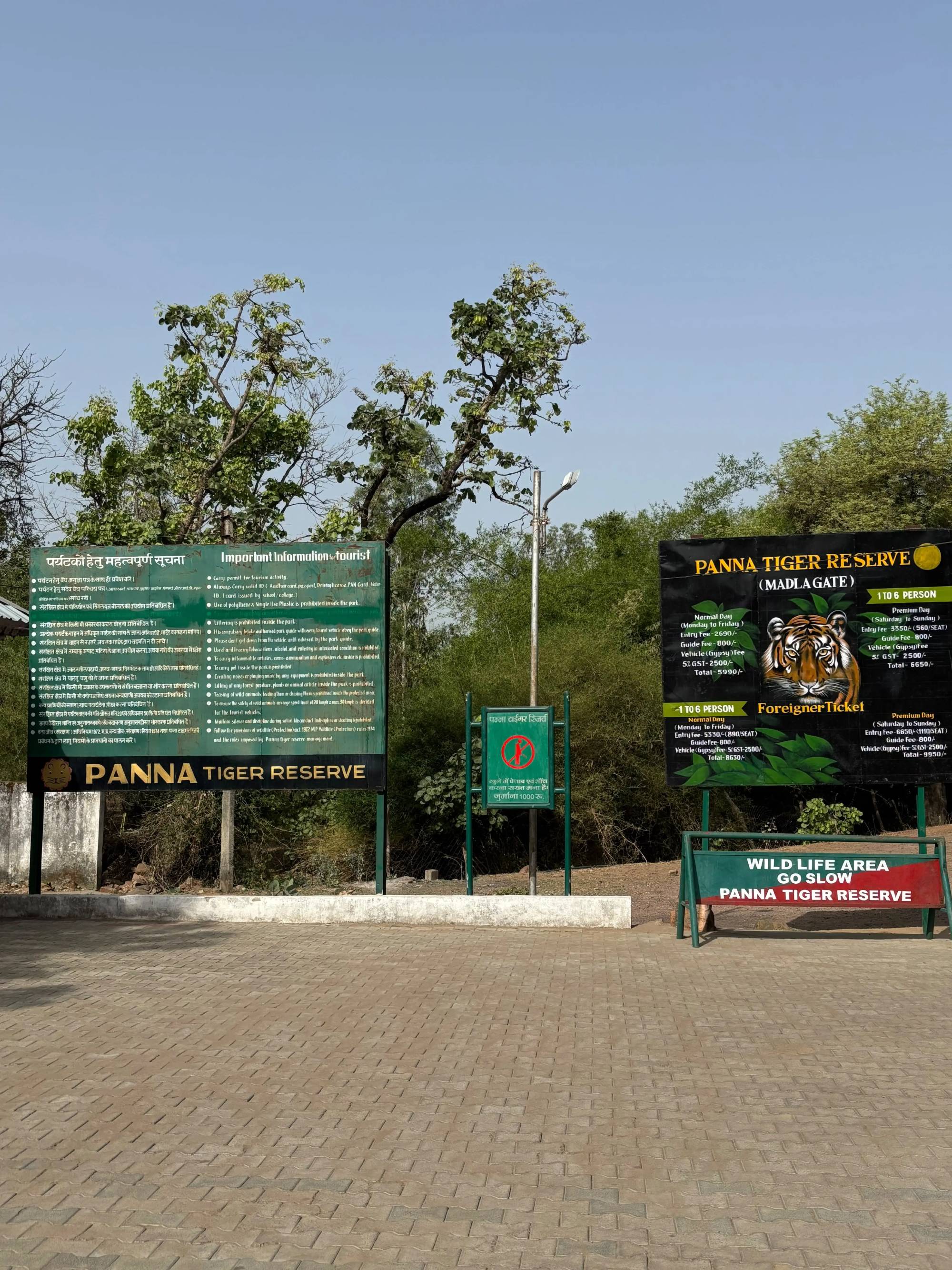 Panna National Park Tiger Safari in Exclusive Jeep