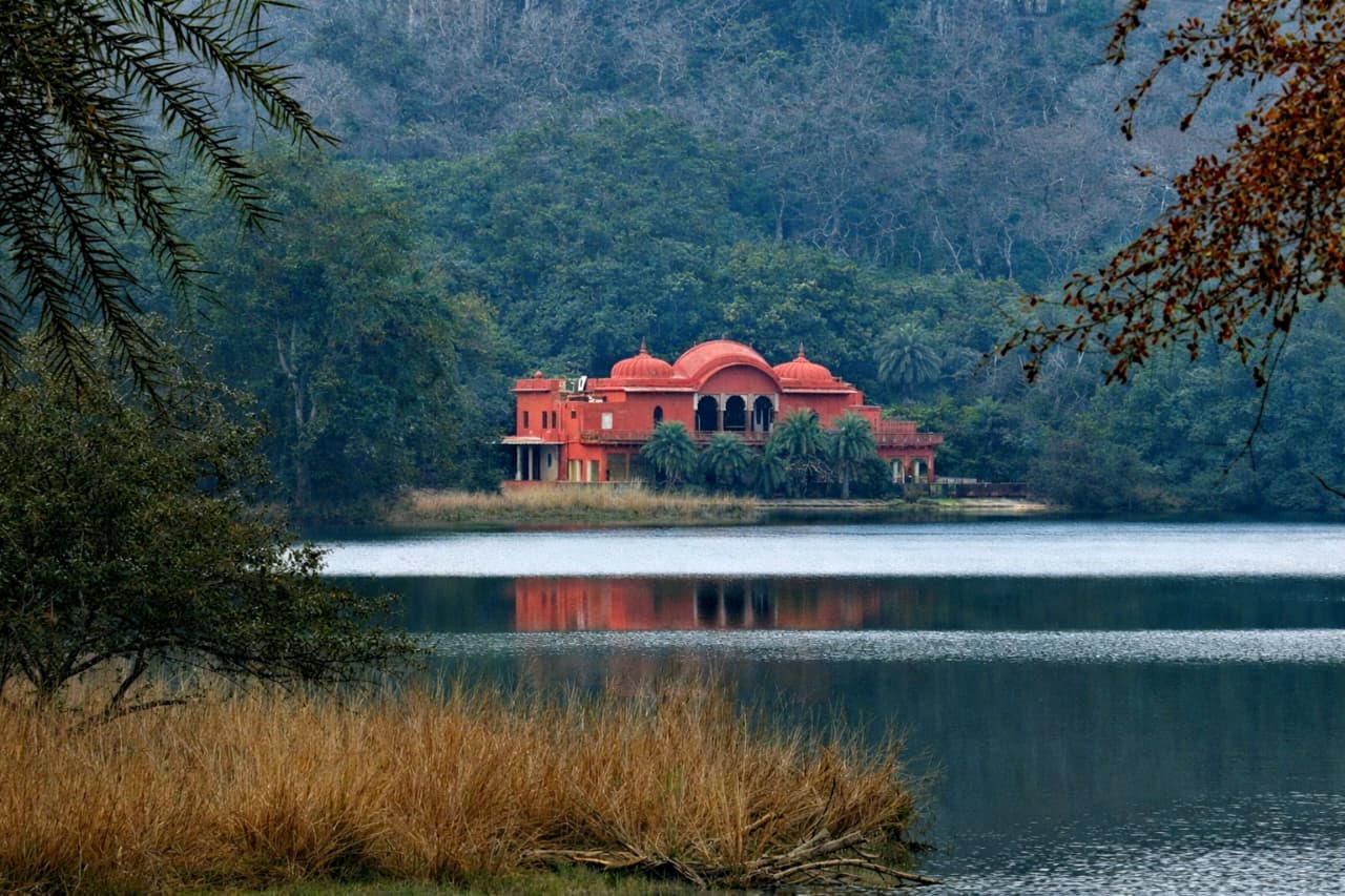 Ranthambore National Park Sharing Canter Safari