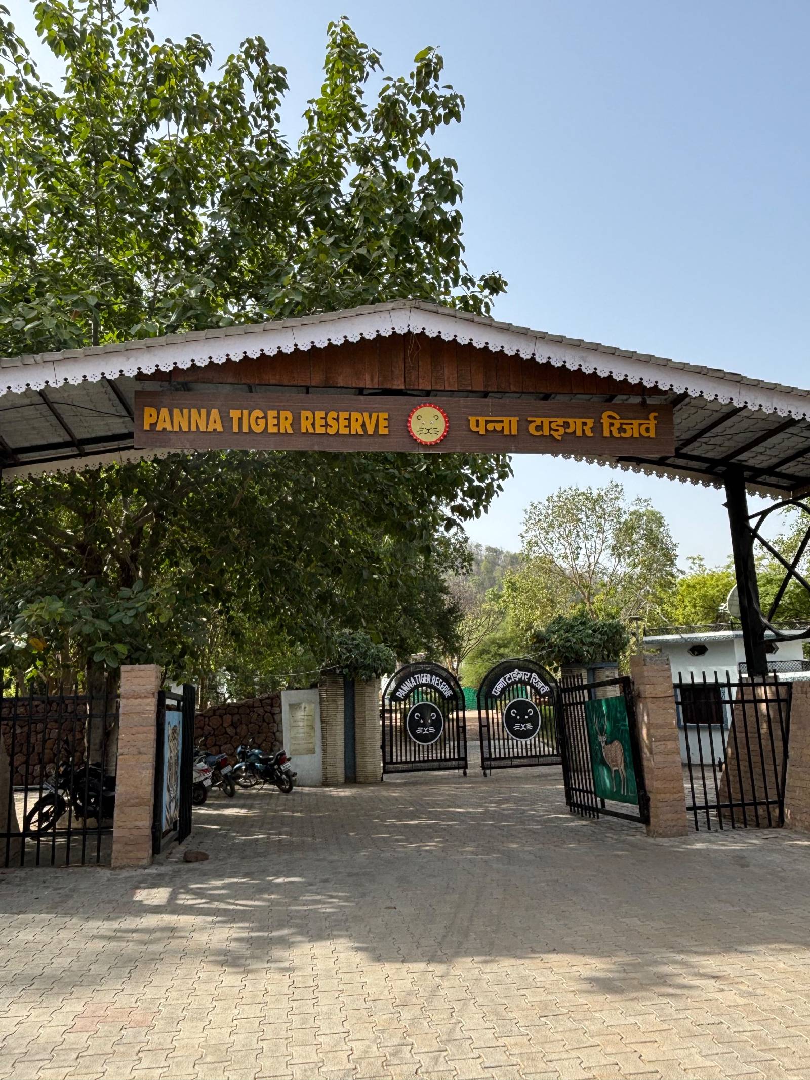 Panna National Park Tiger Safari in Exclusive Jeep