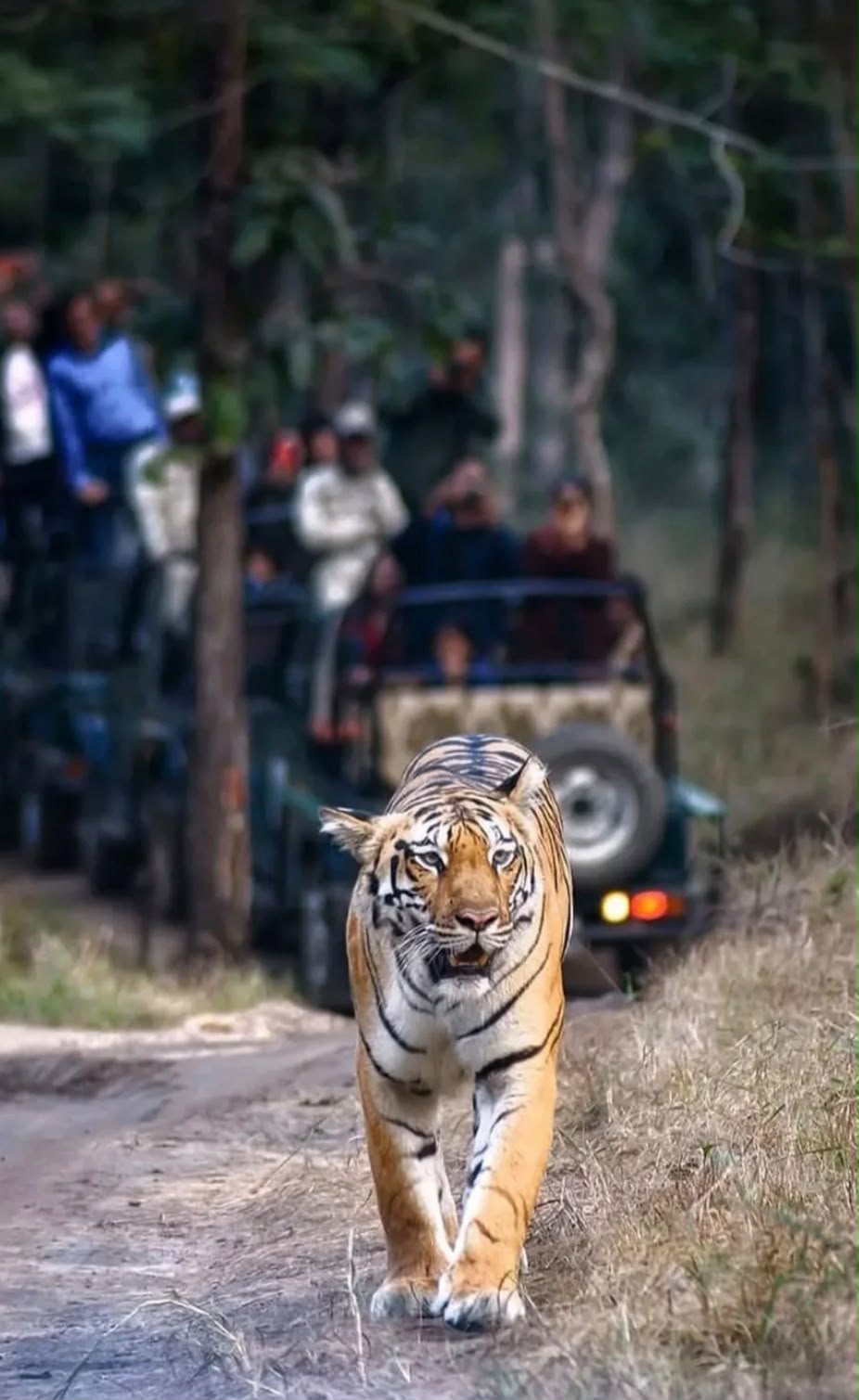 Satpura National Park